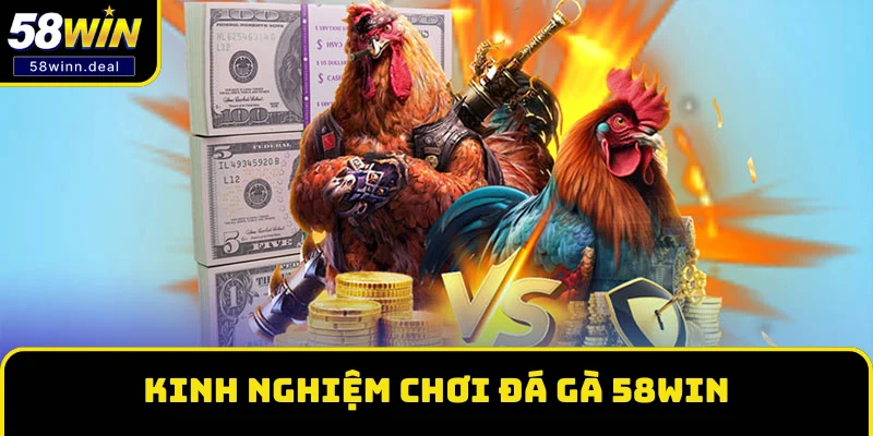 Kinh nghiệm chơi Đá gà 58WIN dễ thắng Kinh nghiệm chơi Đá gà 58WIN dễ thắng