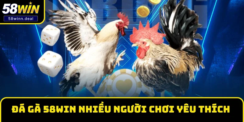 Đá gà 58WIN được nhiều người chơi yêu thích Đá gà 58WIN được nhiều người chơi yêu thích
