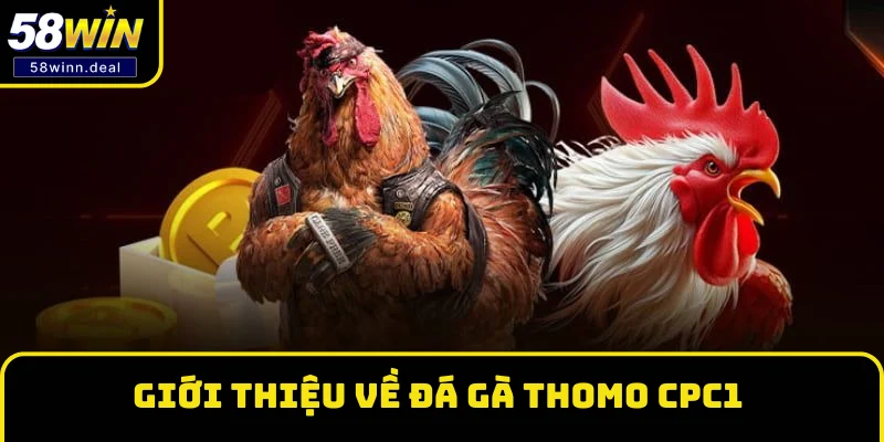 Giới thiệu về đá gà Thomo CPC1