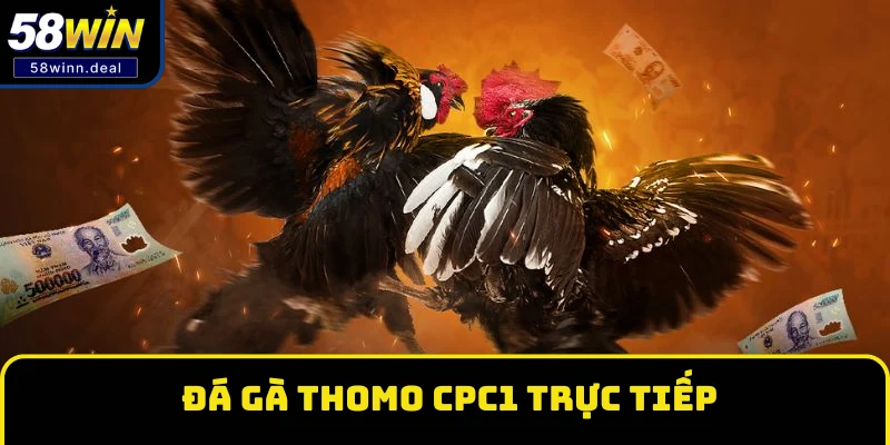 Đá gà Thomo CPC1