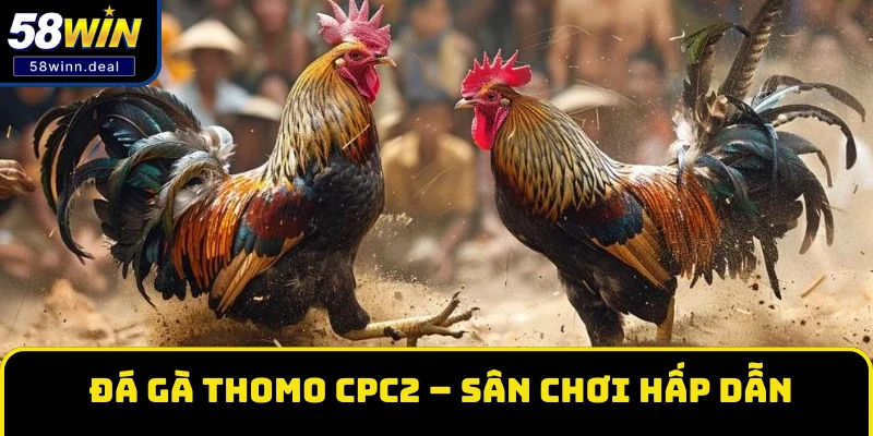 Đá gà Thomo CPC2