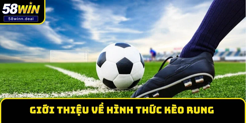 Giới thiệu sơ lược về hình thức kèo rung Giới thiệu sơ lược về hình thức kèo rung